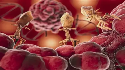 علماء يكتشفون نقطة ضعف جديدة في الخلايا السرطانية تفتح آفاق علاج سرطان الدم