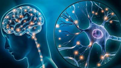 عادات يومية قد تدمر خلايا الدماغ بصمت.. تجنبها