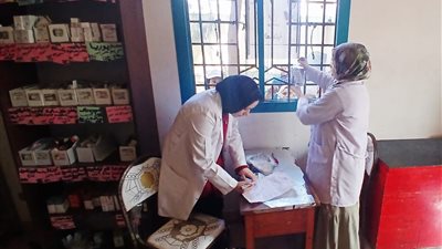 1604 مواطن استفادوا من القافلة الطبية المجانية في قرية 30 بصار بالدقهلية