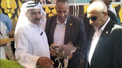 محافظ شمال سيناء يفتتح معرض الصقور والصيد العربى