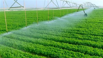 الزراعة تستعرض جهود تعزيز وتحديث الخدمات الإرشادية للمزارعين