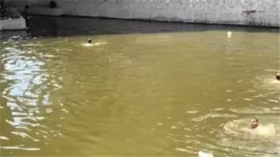 صراع مع التيار.. نهاية حياة شاب في ترعة الجيزاوية