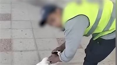 اعترافات المتهم بإذاء كلب بمطروح: كنت بهزر وعايز مشاهدات |فيديو