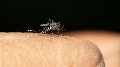 اكتشاف علمي يفتح باب الأمل: أدلة جينية جديدة قد تساهم في القضاء على الملاريا