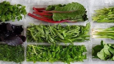 كيف تحافظين على نضارة الخضراوات لأطول فترة ممكنة؟