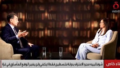 السفير الفرنسي بالقاهرة: نعطي أهمية كبرى للتشاور مع مصر في القضية الفلسطينية