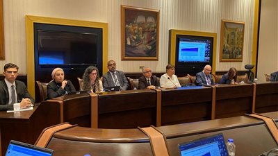 الصحة: تعاون بين اللجنة الاستشارية للتنمية البشرية ومعلومات مجلس الوزراء لدعم التنمية في مصر