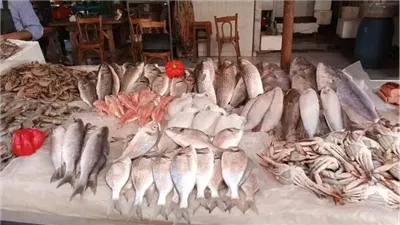 من البلطي للجمبري.. أسعار الأسماك في سوق العبور اليوم
