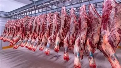 استقرار ملحوظ فى أسعار اللحوم الحمراء بشمال سيناء 