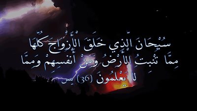 فى رحاب آية