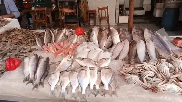 سعر السمك في سابع أيام رمضان.. الجمبري وصل 1150