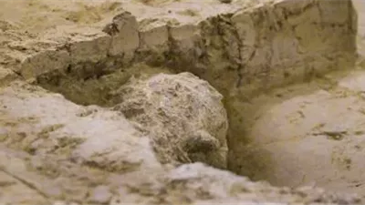  جمجمة عمرها مليون سنة تكشف تفاصيل جديدة عن التطور البشري