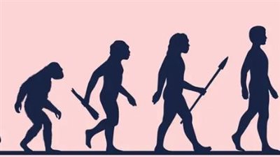 عمرها مليون سنة.. جمجمة تكشف جديداً عن التطور البشري