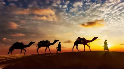 ذكرى الهجرة النبوية.. يوم غيَّر مجرى التاريخ الإسلامي