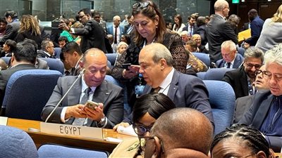 فوز متميز لمصر في انتخابات مجلس «الإيكاو» عن الفئة الثانية