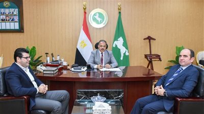 محافظ الشرقية يهنئ رئيس قطاعات الكهرباء الجديد ويبحث تطوير المنظومة بالمحافظة