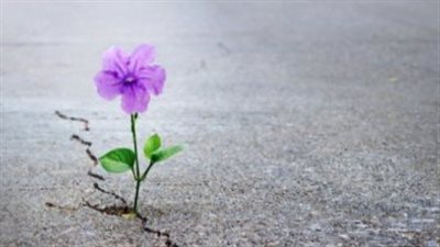 فوائد الأمل في الله عز وجل