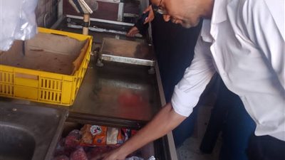 ضبط نصف طن لحوم وأسماك غير صالحة للاستهلاك الآدمي بالمنوفية 