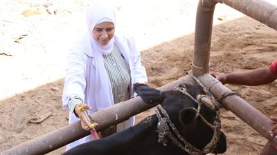 جامعة الفيوم تنظم قافلة بيطرية بقرية الناصرية 