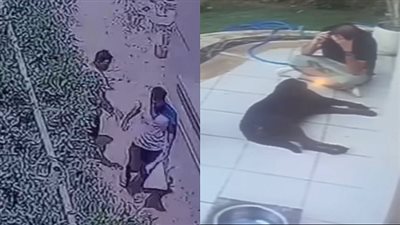 ثلاثة عمال وراء مخطط سرقة فيلا إيمان محرم وقتل كلب الحراسة