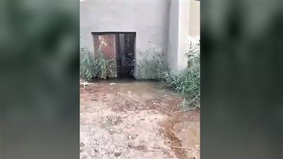 مأساة الشرب فى «نجع صفر»