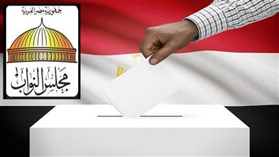 استعدادا لانتخابات مجلس النواب: القومي للمرأة يستكمل حملته الإعلامية 