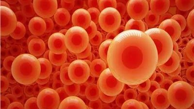 أطعمة طبيعية ترفع مستوى الهيموجلوبين وتمنح الجسم الطاقة