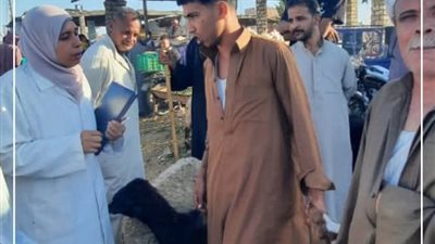 بيطري الإسماعيلية يواصل أعمال التقصي الإكلينيكي بسوق الماشية بالقصاصين 