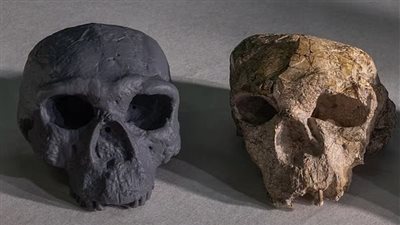 هل عاش البشر على القمر قبل 50 ألف عام؟ عالم جيولوجيا يشعل الجدل