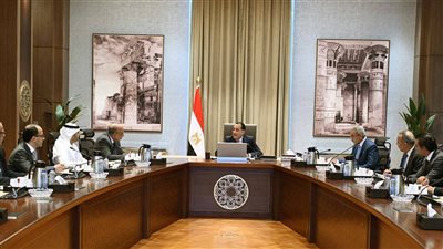 رئيس الوزراء يُتابع تنفيذ الاستراتيجية الوطنية للطاقة المتكاملة والمستدامة