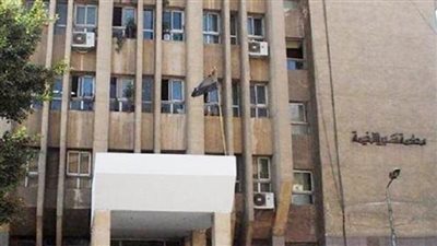 المشدد 3 سنوات لعاملين شرعا فى قتل شخص بقليوب