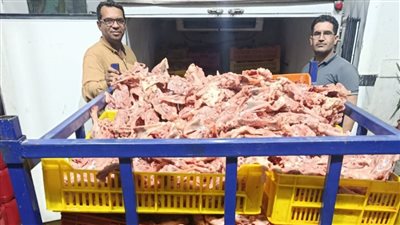 ضبط 1100 كيلو لحوم دواجن فاسدة قبل بيعها بالفيوم 