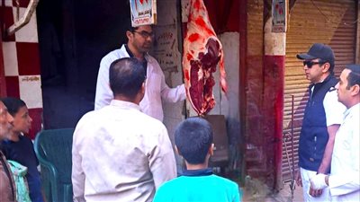 ضبط لحوم وأسماك غير صالحة للاستهلاك الآدمي في حملات تفتيشية بسوهاج 