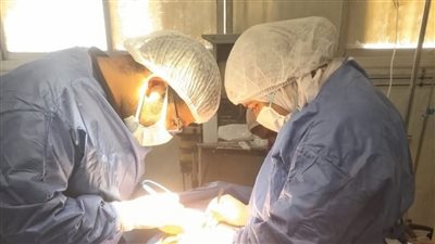 جراحو بلبيس في سباق زمني لإنقاذ مصابين بعد إجراء خمس عمليات دقيقة 