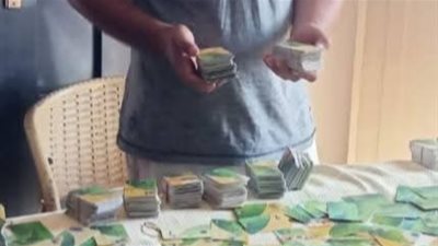 ضبط 1170 بطاقة تموينية مجمعة وتحربر مخالفات لمخابز بدمنهور