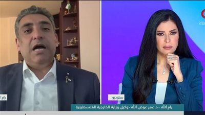 الخارجية الفلسطينية: الخطة الأمريكية بحاجة إلى آليات واضحة وجدول زمني لتحقيق حل الدولتين