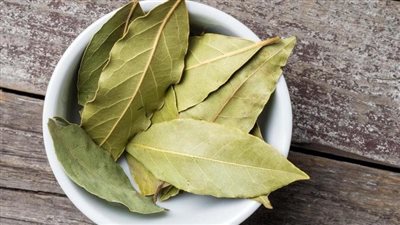 فوائد أوراق الغار للوقاية من الالتهابات وتحسين الهضم