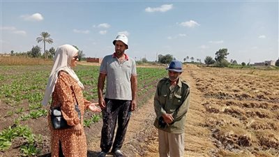 شؤون البيئة بالشرقية ينفذ 1269 نشاطًا توعويًا لمواجهة ظاهرة حرق المخلفات الزراعية