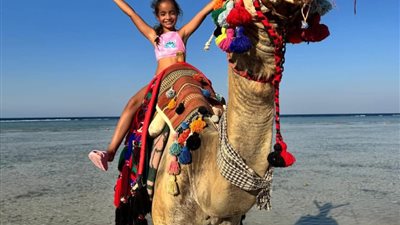 رحلة داخلية و14 رحلة طيران دولية تصل مرسى علم اليوم