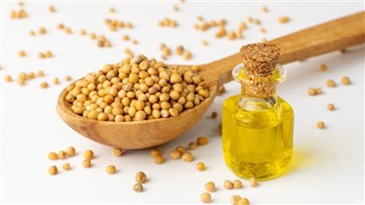 مهم للألام والالتهابات.. فوائد زيت الخردل للعظام والمفاصل