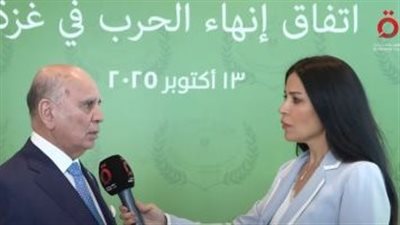  وزير الخارجية العراقي: الدور المصري محوري ومهم في إنهاء حرب غزة