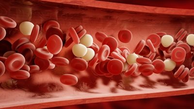 باحثون يتوصلون لطريقة مبتكرة لإنتاج خلايا دم بشرية في المختبر