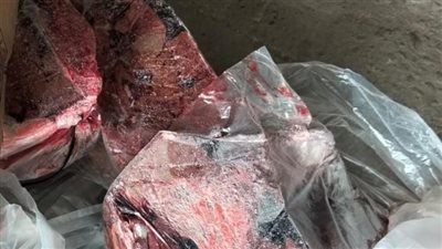  ضبط 35 طن سمك و كبدة مجمدة منتهية الصلاحية  بكفر الدوار