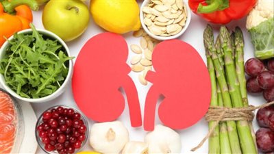 5 أطعمة لتنظيف الكلى.. اجعلها جزءًا من نظامك الغذائي اليومي