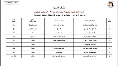 الوطنية للانتخابات تنشر الكشوف المبدئية لمرشحي النظام الفردي في دوائر الإسكندرية