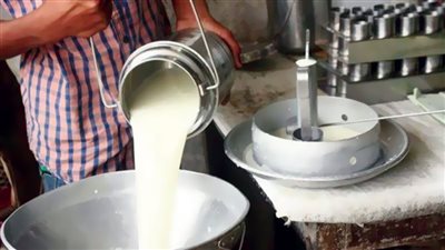 غلاء الألبان يكشف كذب التجار وغياب الرقابة