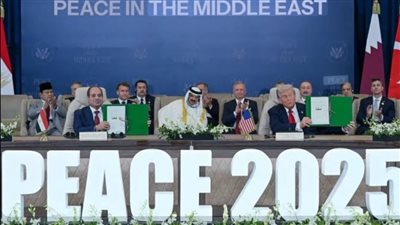 حقوقيون: نجاح قمة شرم الشيخ للسلام ثمرة الجهود المصرية بقيادة الرئيس السيسي