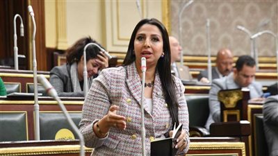 نشوى الشريف: أخوض الانتخابات البرلمانية بمبادئ الوفد.. وبرنامجي يرتكز على حقوق العمال