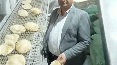 تحرير 4 محاضر غلق لأنشطة تموينية بالبحيرة