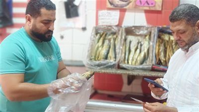 ضبط 35 طن لحوم بلدية وأسماك منتهية الصلاحية بالبحيرة 